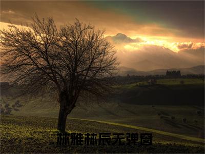 末日霸权大结局全文免费阅读最新章节_ 林雅林辰大结局