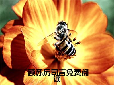  顾苏厉司言（全文三年婚约已到，厉夫人她不玩了）女生必看小说全集_全文三年婚约已到，厉夫人她不玩了（ 顾苏厉司言）全文免费阅读
