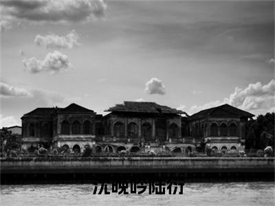 陆衍沈晚吟(沈晚吟陆衍)全文免费阅读无弹窗大结局_陆衍沈晚吟说免费阅读最新章节列表_笔趣阁（沈晚吟陆衍）