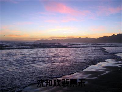 沈知欢裴景禾全文免费阅读-（裴景禾沈知欢）小说全文免费阅读正版无弹窗