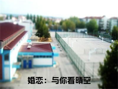  林羽秦司雁（婚恋：与你看晴空，揽星河）热门小说在哪免费看- 林羽秦司雁小说婚恋：与你看晴空，揽星河全章节阅读
