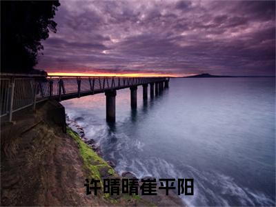 许晴晴崔平阳(崔平阳许晴晴)小说全文-许晴晴崔平阳小说免费阅读大结局