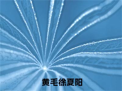 我，重生搞事业，开局日入破千（ 黄毛徐夏阳）免费小说- 黄毛徐夏阳（我，重生搞事业，开局日入破千）全文精彩章节阅读-笔趣阁