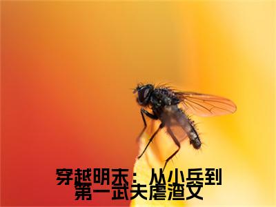 穿越明末：从小兵到第一武夫（ 韩正李恒）全文免费阅读无弹窗大结局_穿越明末：从小兵到第一武夫最新章节列表_笔趣阁( 韩正李恒）