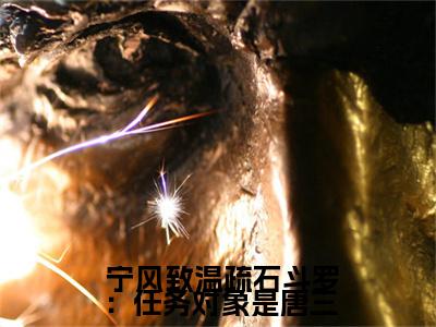  宁风致温疏石小说(斗罗：任务对象是唐三)全文免费阅读无弹窗大结局_( 宁风致温疏石免费阅读全文大结局)最新章节列表_笔趣阁（斗罗：任务对象是唐三）