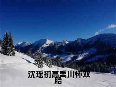  沈瑶初高禹川小说（怀双胎，我孕吐不停吓坏高冷机长）全文免费阅读无弹窗大结局-怀双胎，我孕吐不停吓坏高冷机长最新热点小说
