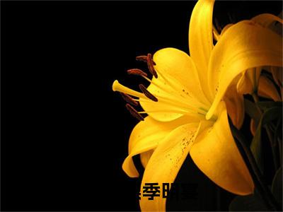 沈棠梨季明宴小说大结局精彩推荐，季明宴沈棠梨全文完整版在线阅读