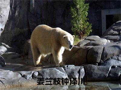 钟泽川姜兰枝(姜兰枝钟泽川)全文免费阅读无弹窗大结局_姜兰枝钟泽川最新章节列表(钟泽川姜兰枝)