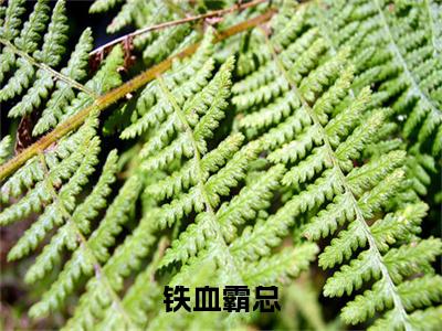 铁血霸总(孟怀瑾）小说全文免费读无弹窗大结局_铁血霸总小说全文免费阅读最新章节列表笔趣阁（孟怀瑾）