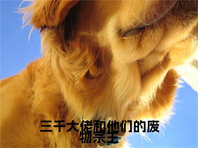 三千大佬和他们的废物宗主余葵银洛小说全文在线阅读无弹窗大结局_（余葵银洛全文在线阅读无弹窗）