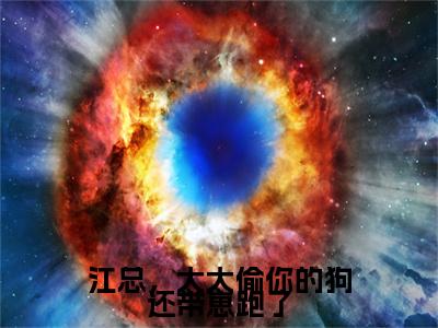 江总，太太偷你的狗还带崽跑了热门榜单小说 谈舒意江聿完本小说无弹窗免费阅读
