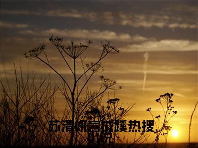 六零：被投喂后，科研大佬沦陷盛情 苏清妍言成蹊全文完整版- 苏清妍言成蹊小说在线阅读
