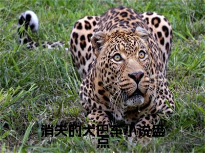 消失的大巴车小说（ 宁秋水刘承峰）全文免费阅读无弹窗大结局_ ( 宁秋水刘承峰免费阅读)最新章节列表_笔趣阁（ 宁秋水刘承峰）
