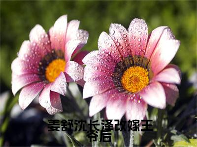  姜舒沈长泽（改嫁王爷后，全京城都在看我虐渣姜舒沈长泽更新版试读）免费小说-改嫁王爷后，全京城都在看我虐渣姜舒沈长泽更新版试读（ 姜舒沈长泽）最新章节完整版阅读