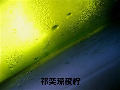 祁奕琛夜柠(夜柠祁奕琛)全文免费阅读无弹窗大结局_(祁奕琛夜柠免费阅读全文大结局)最新章节列表_笔趣阁(夜柠祁奕琛)