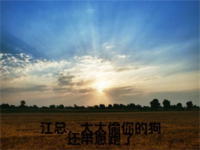 江总，太太偷你的狗还带崽跑了(谈舒意江聿)全文免费阅读_（谈舒意江聿）小说江总，太太偷你的狗还带崽跑了最新章节阅读（江总，太太偷你的狗还带崽跑了）