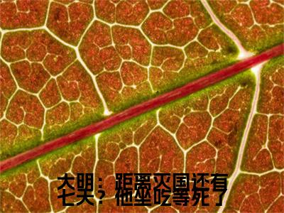大明：距离灭国还有七天？他坐吃等死了小说免费阅读  崇祯唐通完整版全文大结局