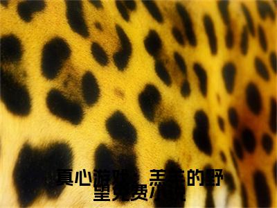 真心游戏：羔羊的野望全文免费阅读无弹窗大结局-真心游戏：羔羊的野望 绮绮霍邵庭 全文全章节免费阅读
