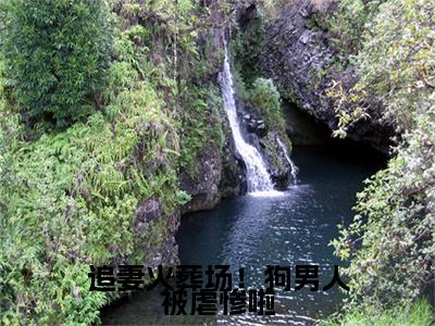 小说追妻火葬场！狗男人被虐惨啦完整版在线阅读  闻延舟楼藏月精选小说推荐试读