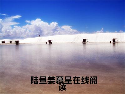  陆昼姜慕星（她寄人篱下，怀了疯批少爷的崽）全文免费阅读无弹窗大结局_ 陆昼姜慕星她寄人篱下，怀了疯批少爷的崽最新章节列表_笔趣阁