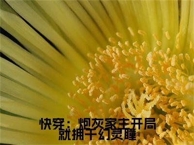  沉渊沉潇儿是什么小说快穿：炮灰家主开局就拥千幻灵瞳-（快穿：炮灰家主开局就拥千幻灵瞳全文阅读）最新章节列表