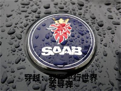 穿越：我在平行世界卖导弹全集完整版大结局- 苏哲苏哲小说在线赏析