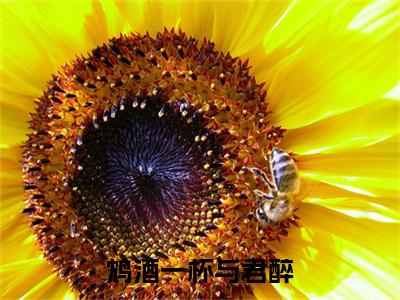鸩酒一杯与君醉（顾瑾凤漓觞）快手热推小说主角鸩酒一杯与君醉完整版在线阅读