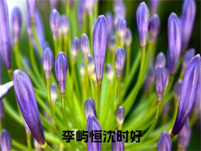 休夫后,全京城贵公子都求她再嫁笔趣阁是什么小说_主角是（ 李屿恒沈时好）的小说（休夫后,全京城贵公子都求她再嫁笔趣阁）最新章节无弹窗阅读