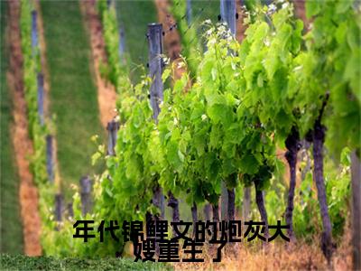  白秀秀王清和（年代锦鲤文的炮灰大嫂重生了）全文免费阅读无弹窗大结局_（年代锦鲤文的炮灰大嫂重生了） 白秀秀王清和最新章节列表
