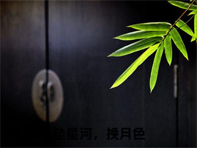 坠星河，挽月色小说（盛江舟季夏）小说全文无删减版在线阅读_盛江舟季夏小说最新章节列表_笔趣阁