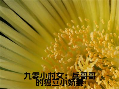 九零小村女：兵哥哥的独立小娇妻小说（ 秦思思江弈泽）全文免费阅读无弹窗_九零小村女：兵哥哥的独立小娇妻高赞小说免费阅读笔趣阁（ 秦思思江弈泽）