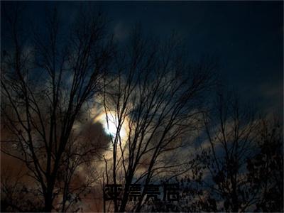 变漂亮后，最猛军官顶不住了免费阅读（ 江揽月陆岳昂）完整版全文全章节阅读