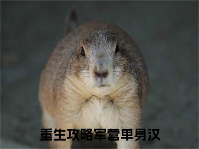重生攻略军营单身汉，被狂宠上天（ 宋会雍林双鱼）全文免费阅读无弹窗大结局_重生攻略军营单身汉，被狂宠上天（ 宋会雍林双鱼）小说全文免费阅读最新章节列表_笔趣阁