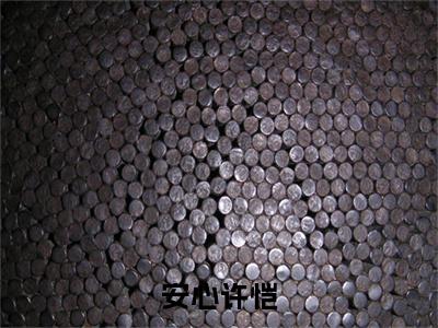 安心许恺许恺安心多人追免费无弹窗小说,许恺安心已完结全集大结局