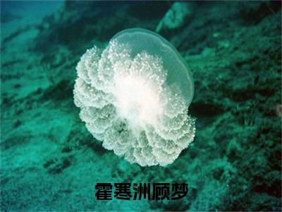 【全文】《顾梦霍寒洲》小说txt在线阅读_(顾梦霍寒洲全章节)-顾梦霍寒洲_霍寒洲顾梦在线阅读