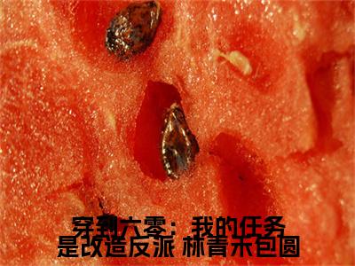 穿到六零：我的任务是改造反派（ 林青禾包圆）小说免费无弹窗大结局-穿到六零：我的任务是改造反派小说全文完整版阅读