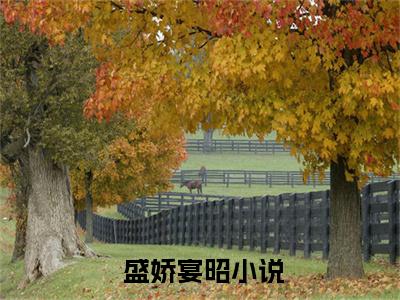 重生：末世王在京圈成权谋女王 盛娇宴昭小说免费阅读-重生：末世王在京圈成权谋女王抖音新书热荐