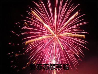 顾燕临姜苏苏（姜苏苏顾燕临）免费小说-（姜苏苏顾燕临）完结版在线阅读