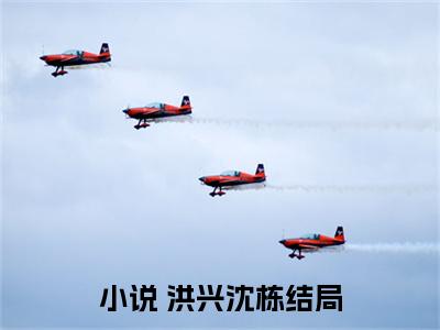 小说《 洪兴沈栋》全文免费阅读无弹窗-以和为贵小说全文在线赏析_笔趣阁