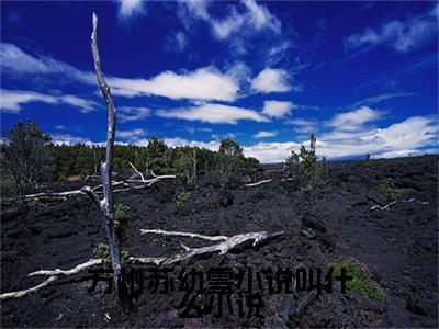  苏幼雪方州全文免费大结局-方州苏幼雪小说叫什么结局在线阅读