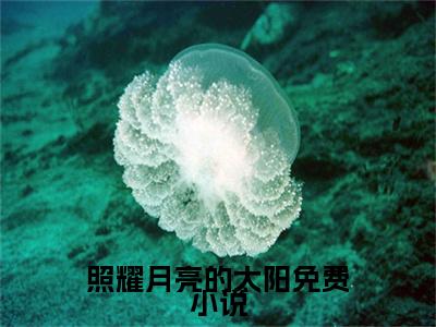 照耀月亮的太阳最新热门小说-（ 路锦安苏酥）最新章节免费阅读