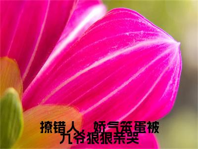 郁惊画小说大结局免费阅读-撩错人，娇气笨蛋被九爷狠狠亲哭抖音新上热文分享郁惊画