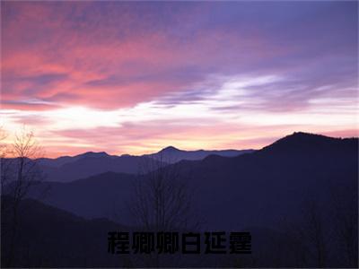 程卿卿白延霆免费阅读无弹窗最新章节列表-(白延霆程卿卿)全文免费阅读大结局笔趣阁(白延霆程卿卿)