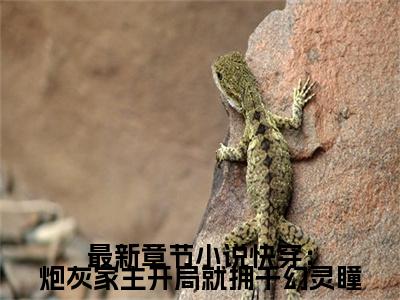  沉渊沉潇儿全文免费阅读无弹窗大结局-快穿：炮灰家主开局就拥千幻灵瞳最新章节列表免费阅读