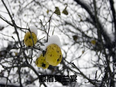 顾眉贺兰宴全文免费阅读无弹窗大结局_（顾眉贺兰宴小说）贺兰宴顾眉在线免费阅读