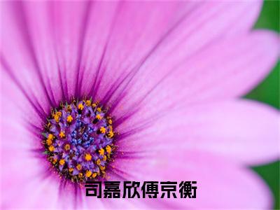 司嘉欣傅京衡在线阅读(傅京衡司嘉欣)全文免费阅读无弹窗大结局_傅京衡司嘉欣最新章节列表笔趣阁(司嘉欣傅京衡)