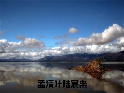 孟清叶陆宸枭（陆宸枭孟清叶 ）全文免费阅读_孟清叶陆宸枭言诺诺,井傅宸 小说最新章节列表笔趣阁