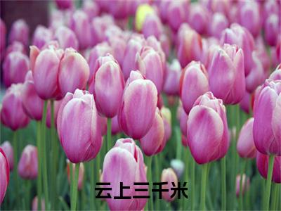 七林宇宙（云上三千米）全文免费阅读无弹窗大结局_(云上三千米小说免费阅读)_笔趣阁