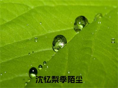 季陌尘沈忆梨沈忆梨季陌尘快手热文整理-季陌尘沈忆梨小说沈忆梨季陌尘今日更新章节