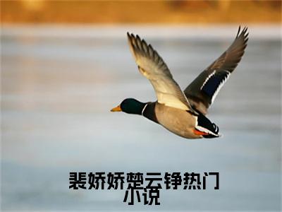 小说 裴娇娇楚云铮东宫春色撩人求书热文免费阅读- 裴娇娇楚云铮小说分享全文东宫春色撩人